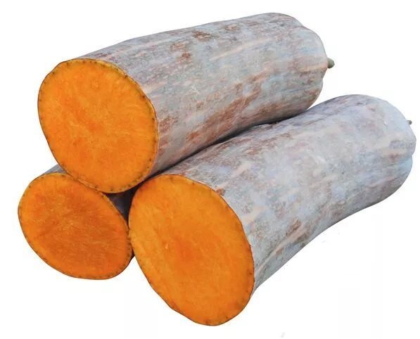 生吃都好吃南瓜新品種，沒有大肚子，肉質(zhì)更密致，農(nóng)戶試種下